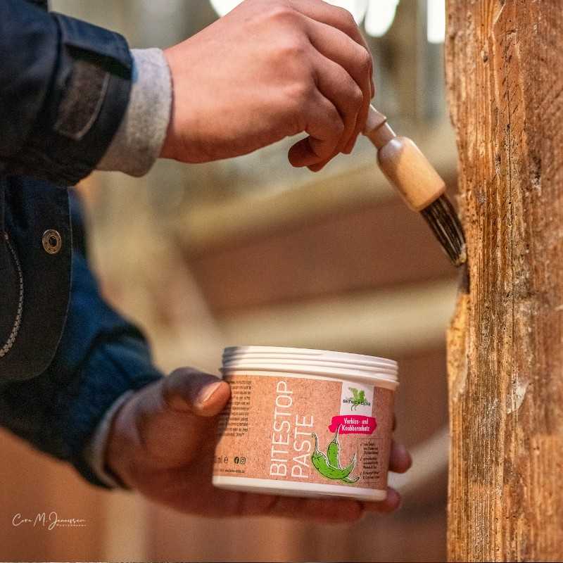 Copo de pasta para madeira BiteStop Paste e pincel aplicando-a numa peça de madeira