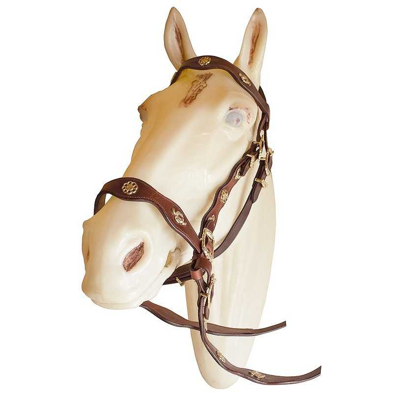 Cabresto castanho em couro com detalhes dourados numa cabeça de cavalo branca