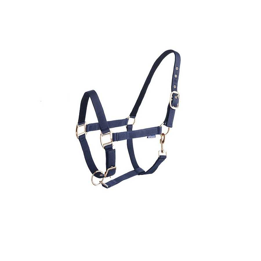 Cabresto azul escuro para animal com fivelas metálicas douradas