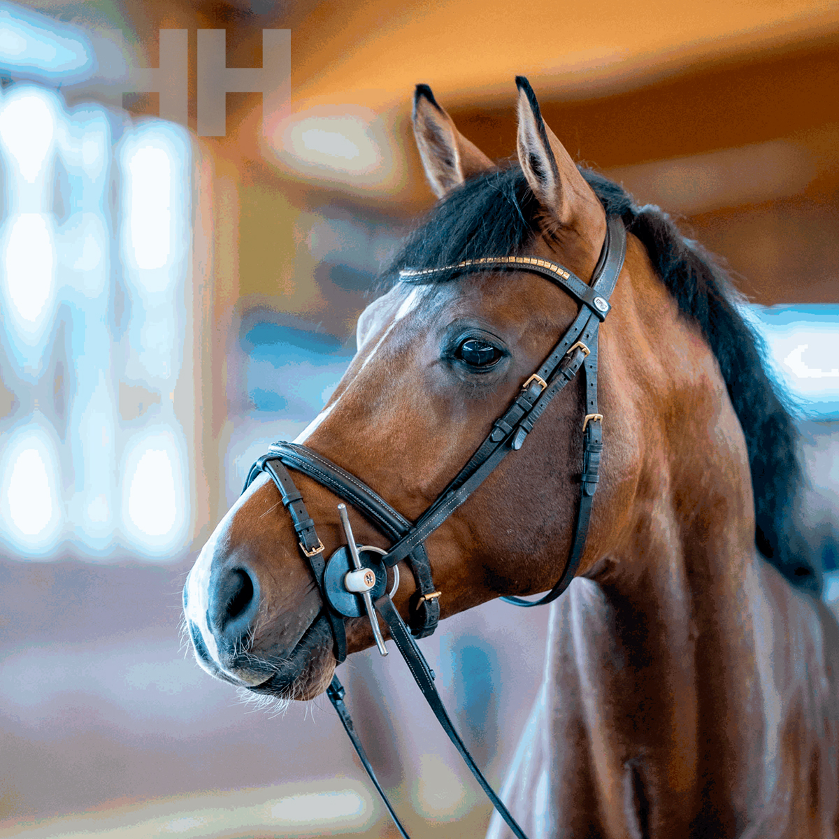 Cavalo castanho com equipamento de equitação preto dentro de estábulo