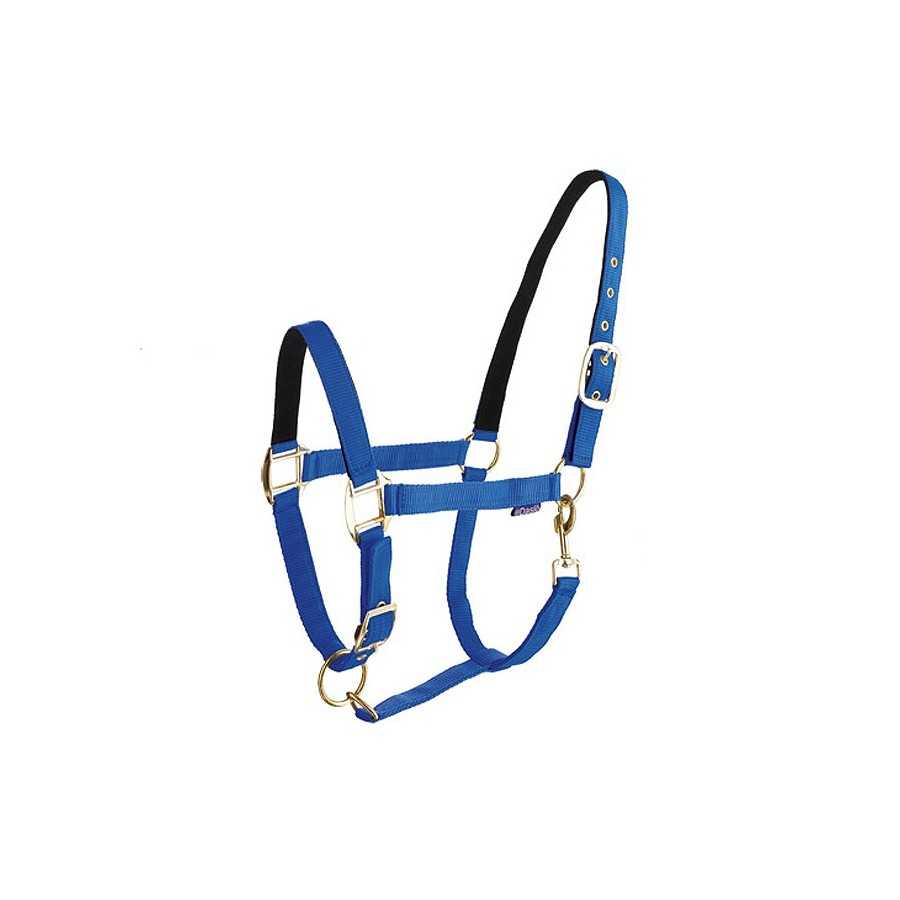 Cabresto para cavalo azul com presilhas metálicas douradas