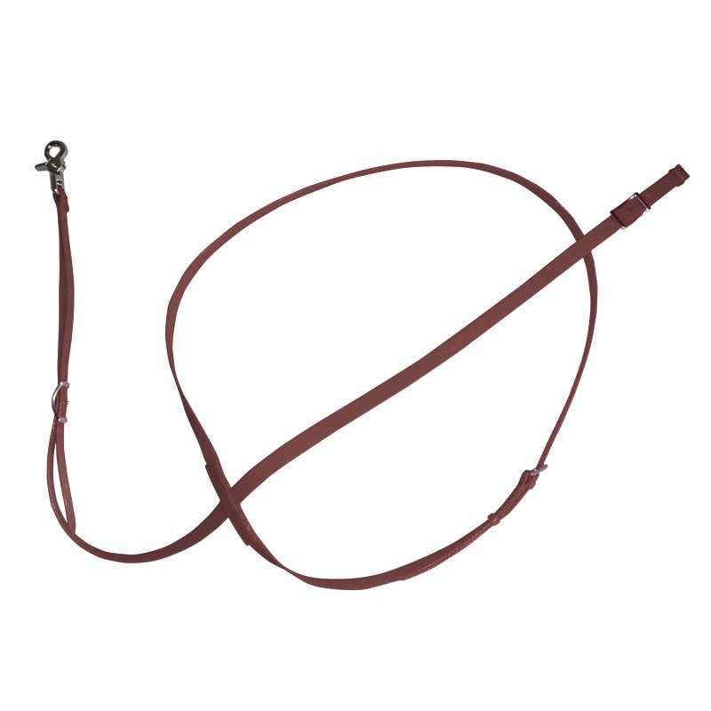 Trela de couro castanha com fivela e mosquetão