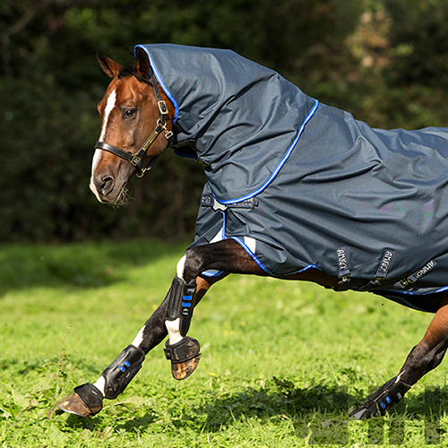 Cavalo usado capa azul escura num campo verde