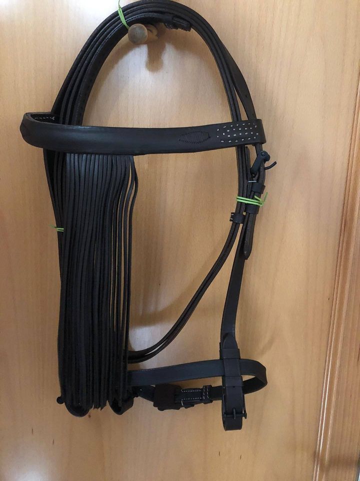 Bridão de cavalo preto de couro pendurado numa porta de madeira clara