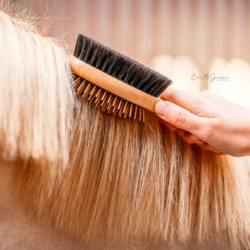 Escova de madeira com cerdas naturais a escovar juba clara