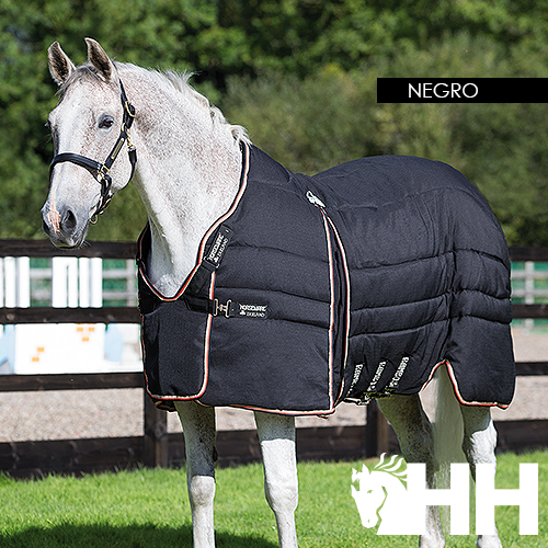 Cavalo com manta preta acolchoada em ambiente exterior