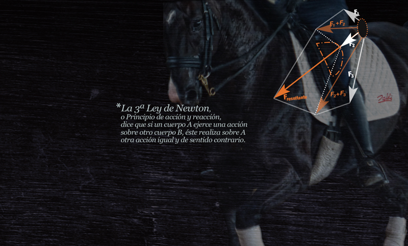 Cavalo preto com equipamentos de equitação e gráfico de forças com texto explicativo em espanhol sobre a 3ª Lei de Newton