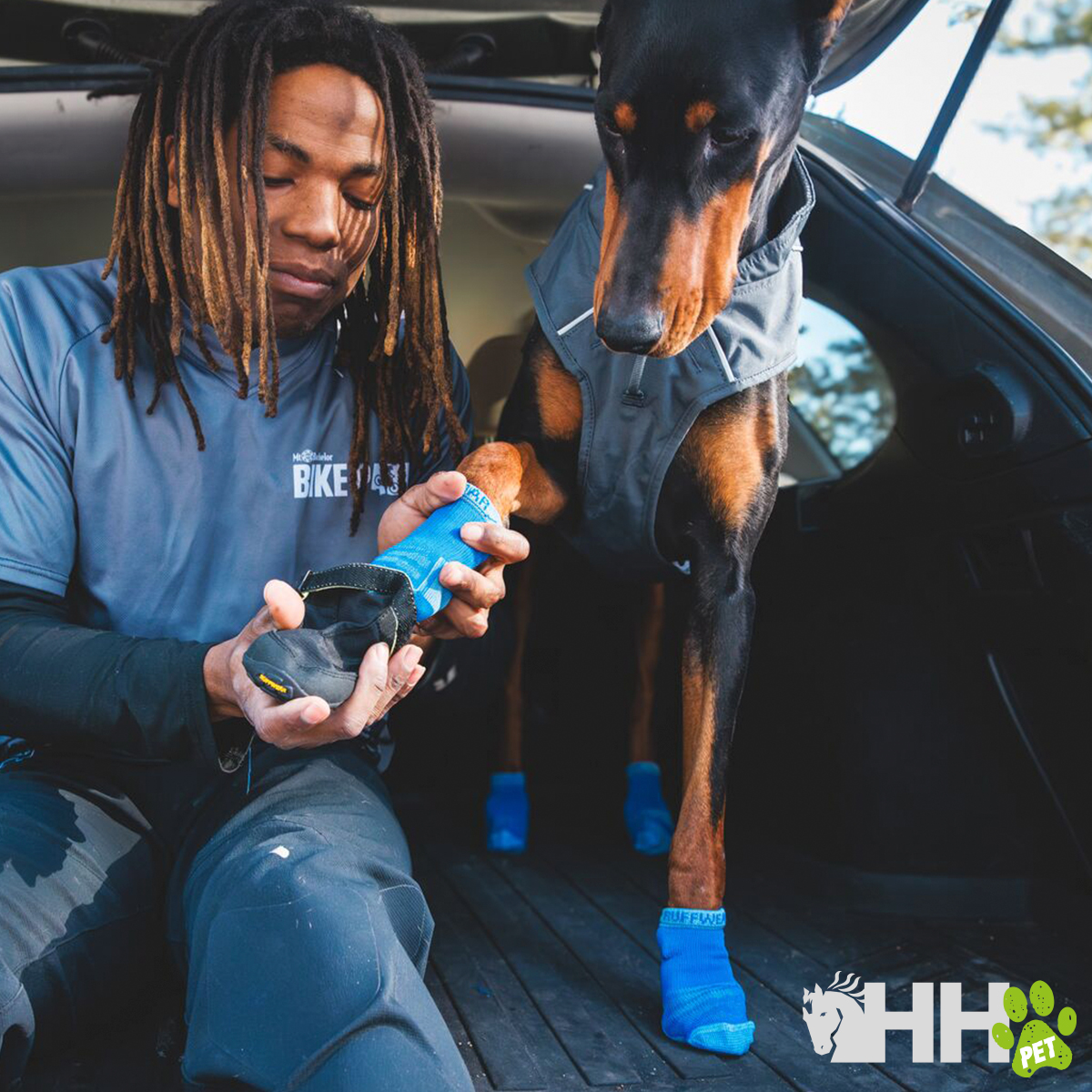 Homem a colocar botas azuis num Doberman dentro de um carro preto.