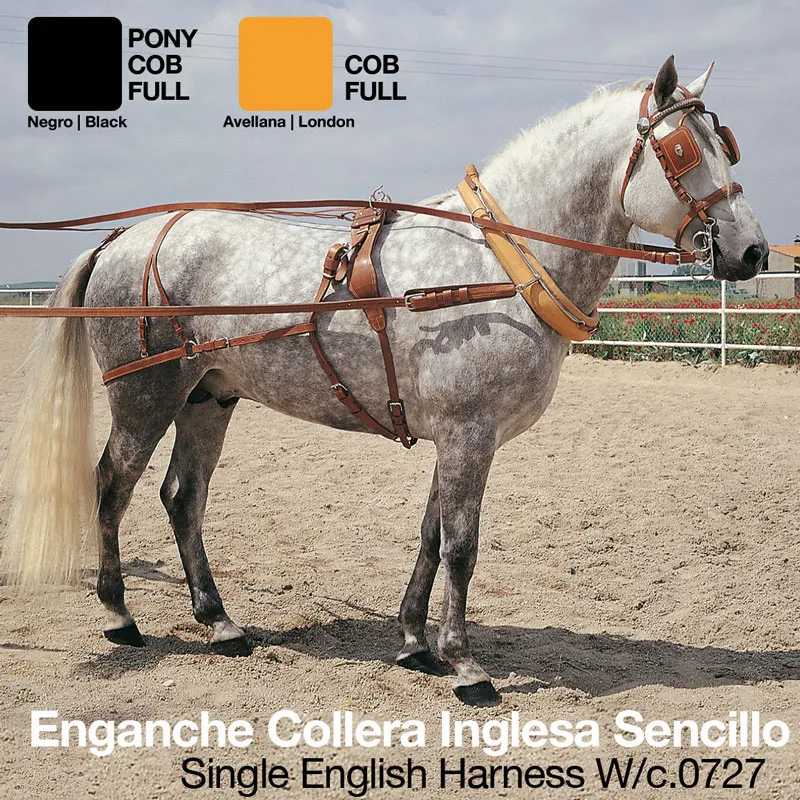 Cavalo cinza com arreio inglês castanho claro e amostras de cor