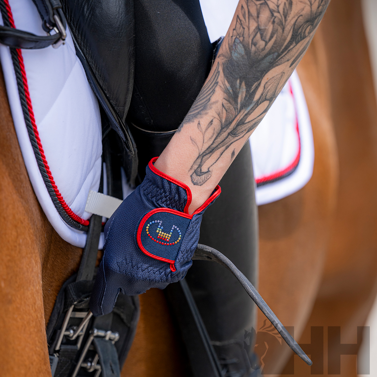 Mão com luva de equitação azul e vermelha segurando rédeas de cavalo castanho com sela preta e manta branca com bordas vermelhas e pretas