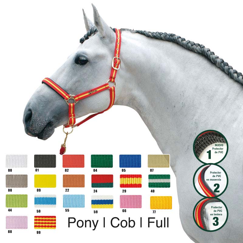 Cabresto vermelho e amarelo em cavalo branco com crina trançada