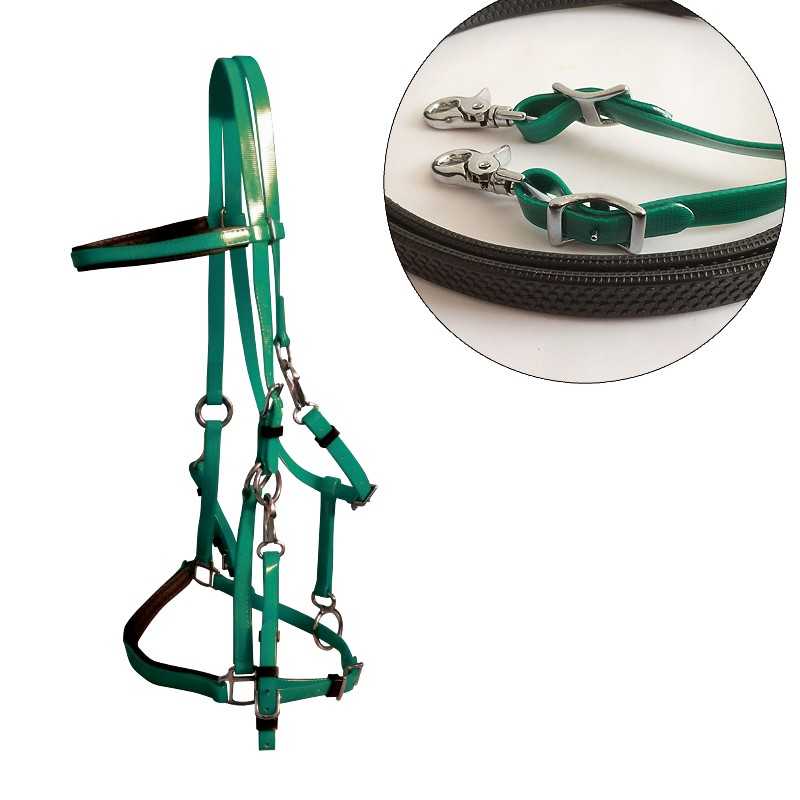 Cabresto de cavalo verde com fivelas metálicas e detalhes castanhos