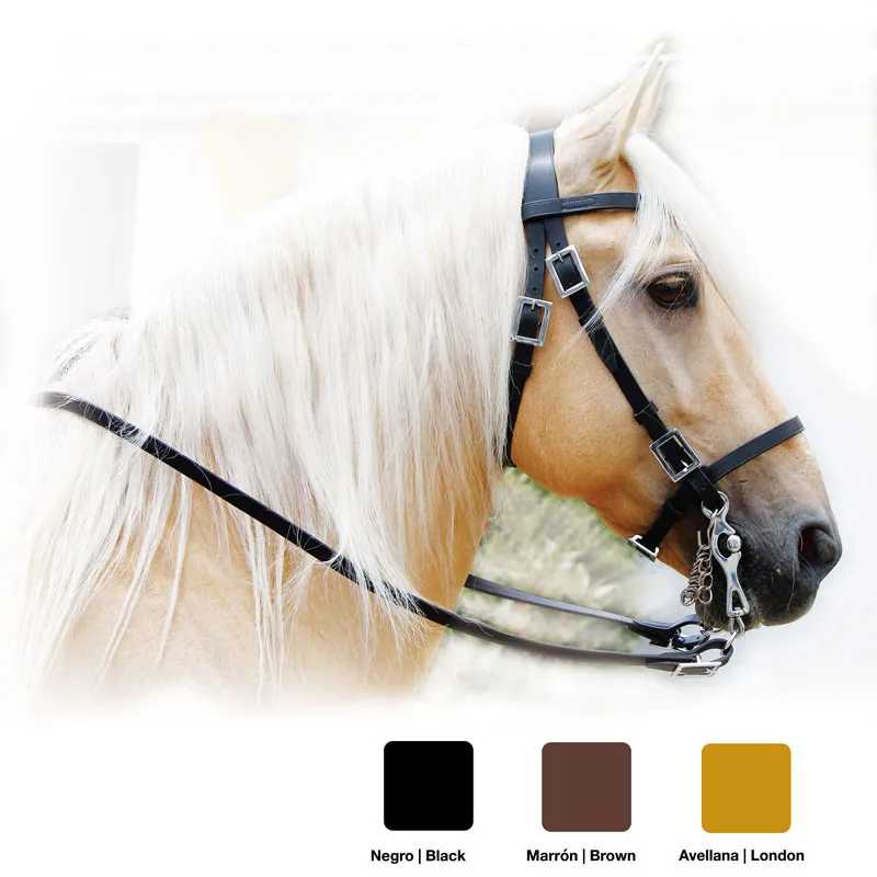 Cavalo com peixeira e rédeas de couro preto