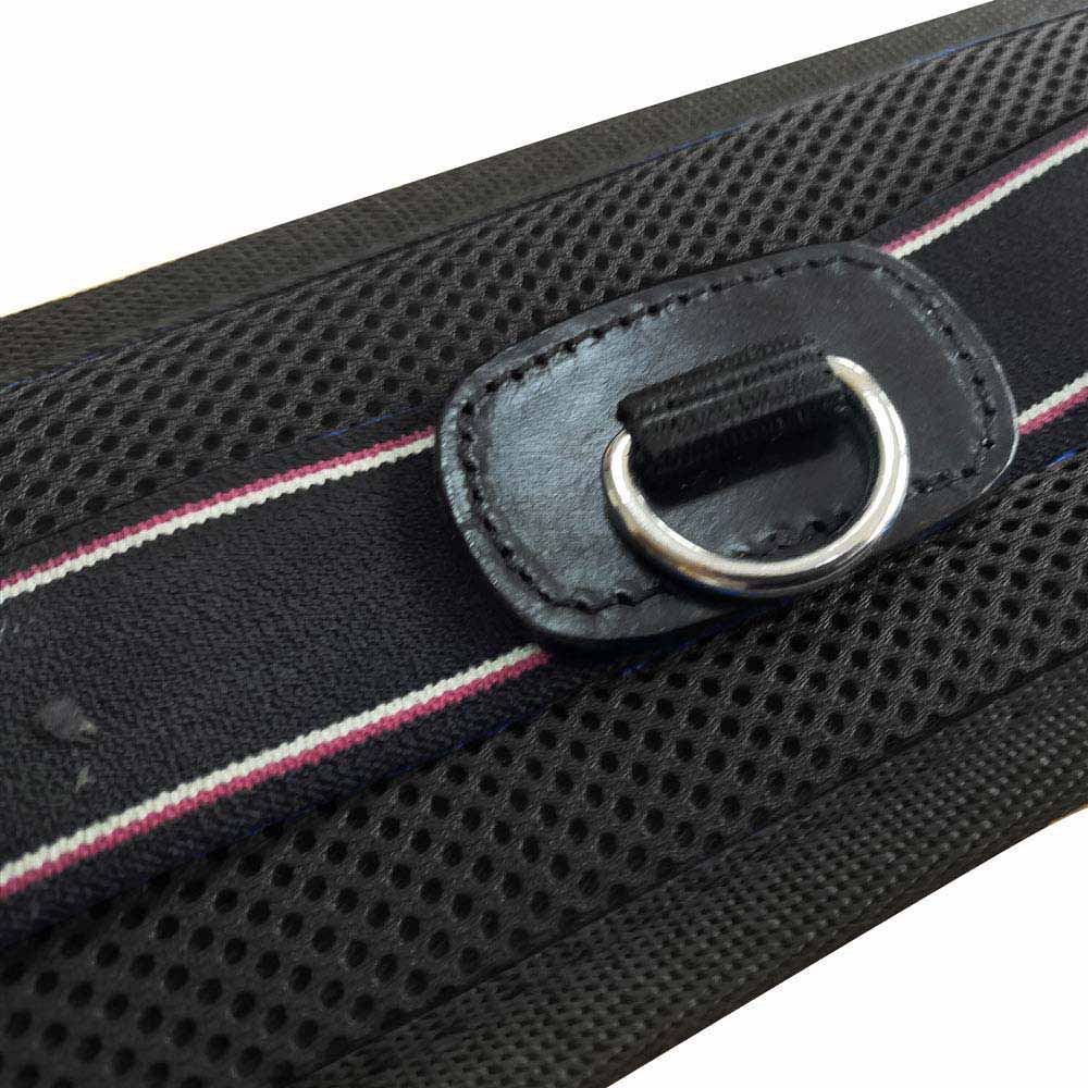 Correia preta com linhas rosa e branca e fivela metálica prateada