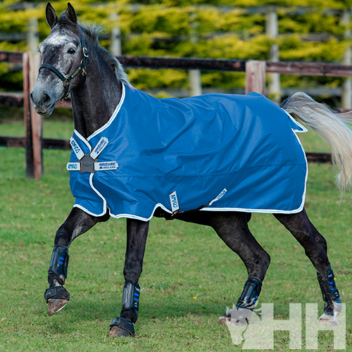Cavalo com manta azul em ambiente de campo