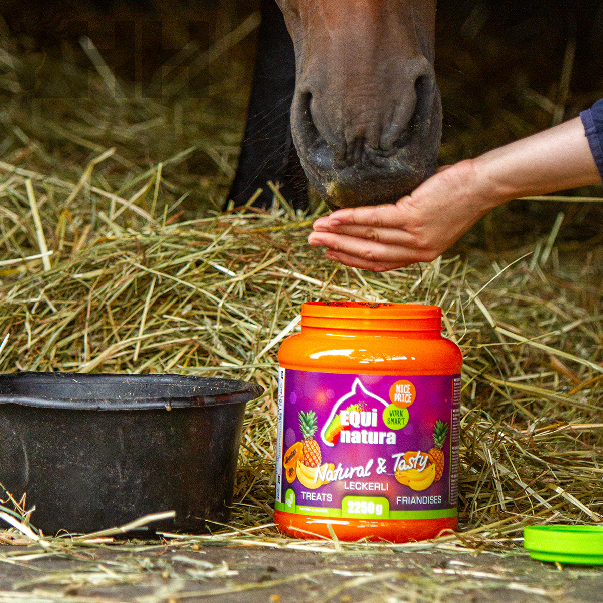 Frasco de suplemento para cavalos EQUI natura com mão a alimentar cavalo num estábulo de feno