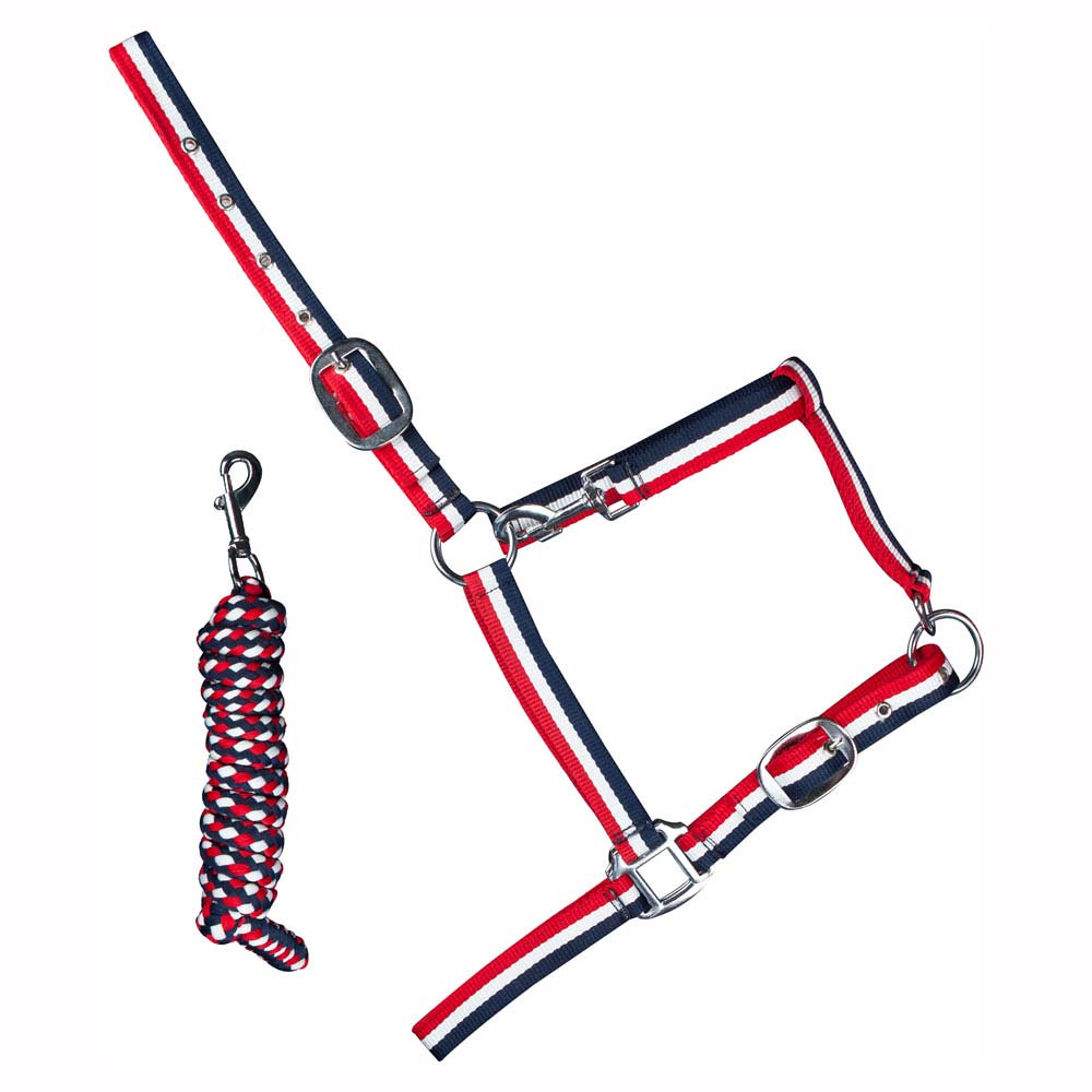 Cabresto e cabo para cavalo trançado com cores vermelho, branco e azul