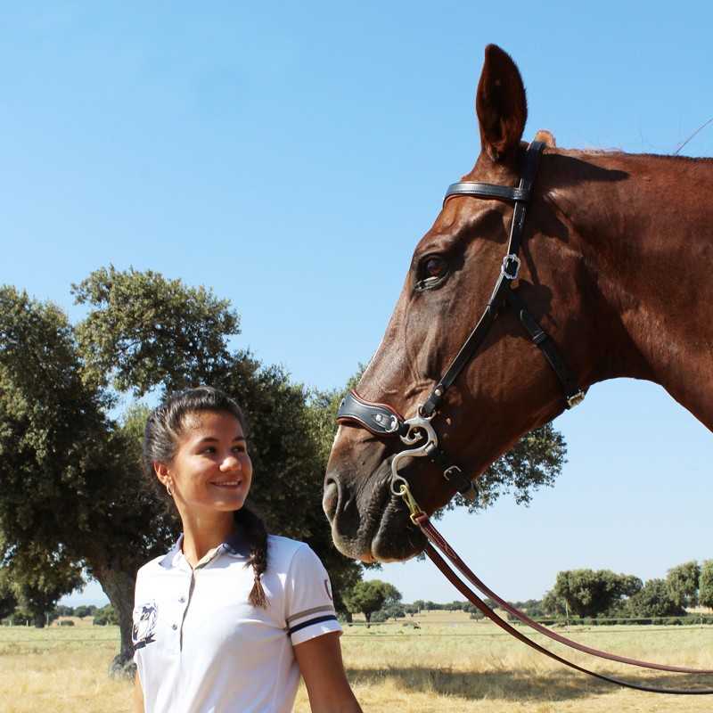Mulher com cavalo castanho ao ar livre em campo