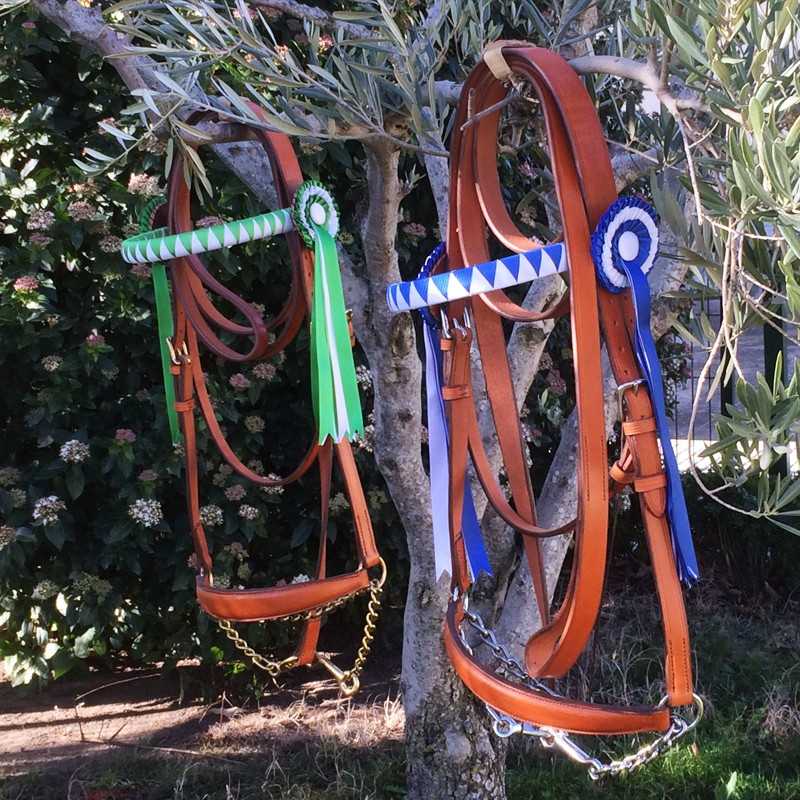 Duas rédeas de couro castanho com decorações verde e azul penduradas numa árvore