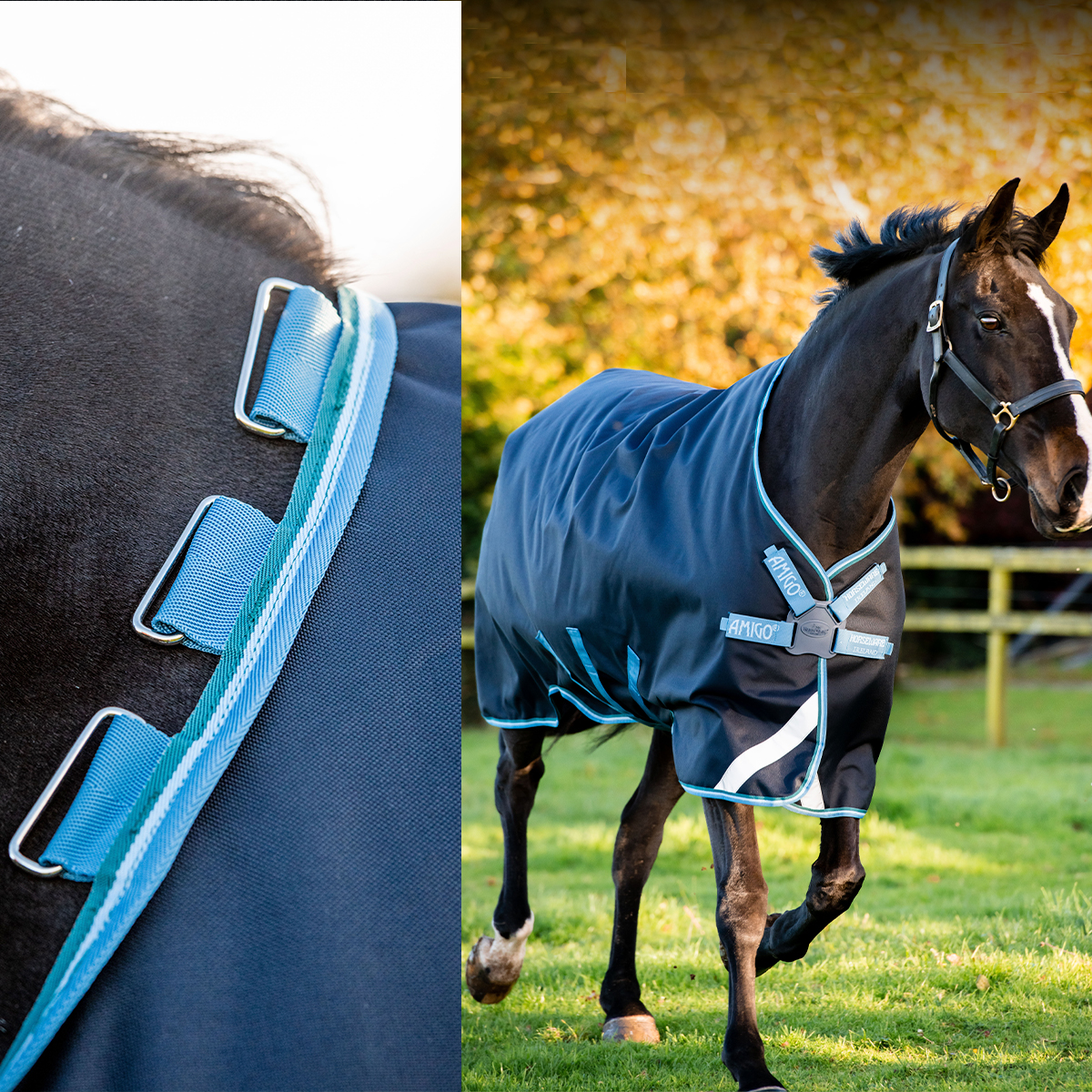 cavalo com cobertor azul escuro e detalhes azuis claros e brancos ao ar livre