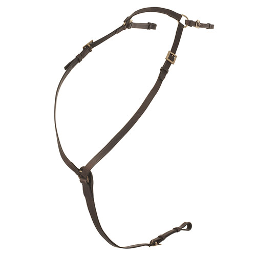 Arnês ajustável castanho com fivelas douradas