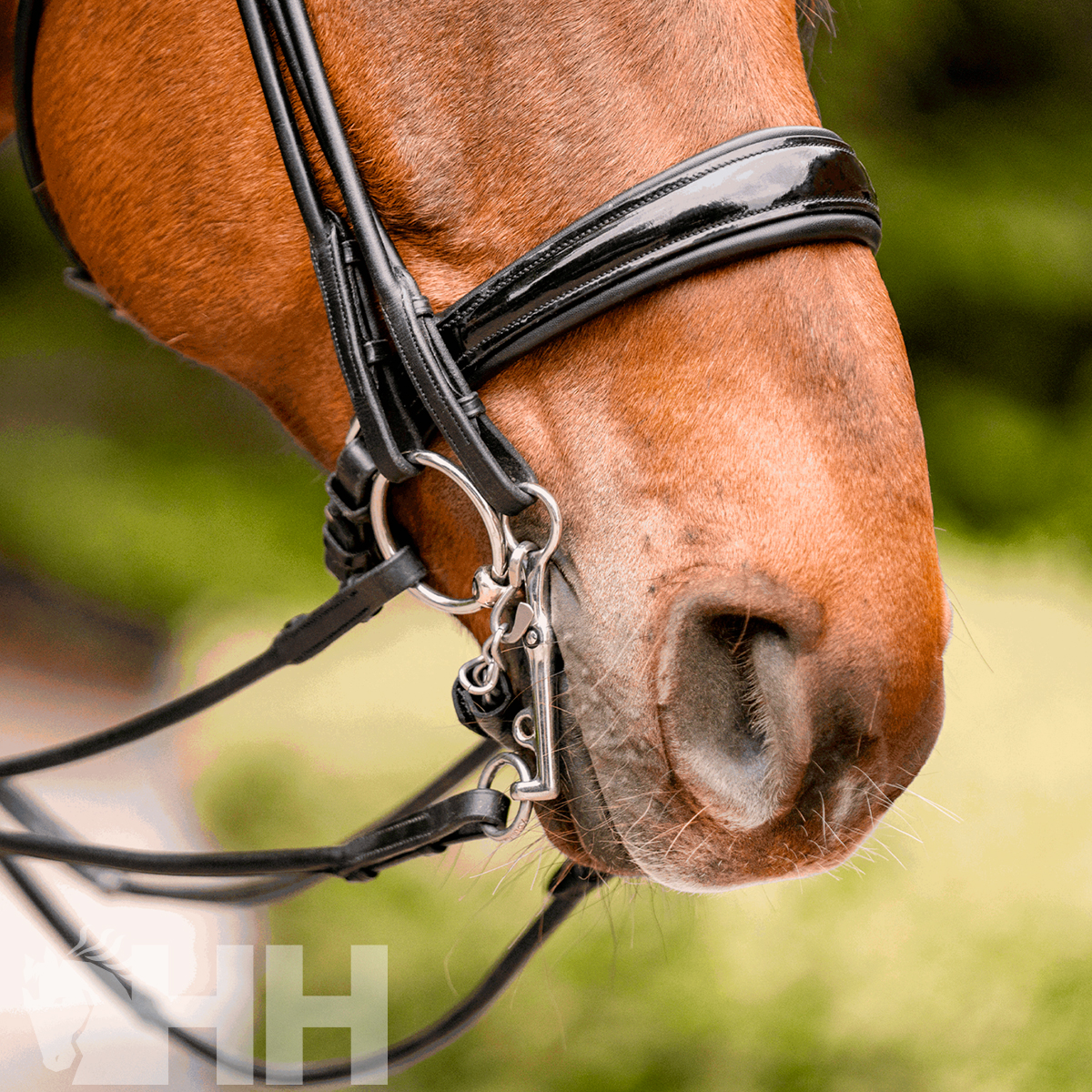 Cavalo com rédea e freio de couro preto e metal