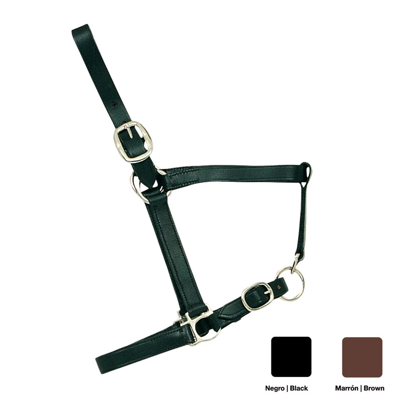 Cabresto para cavalo preto com fivelas metálicas em fundo branco