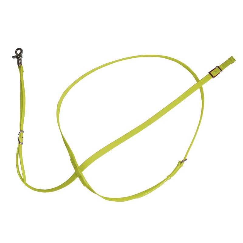Trela para cão verde-limão com fivela e gancho metálico