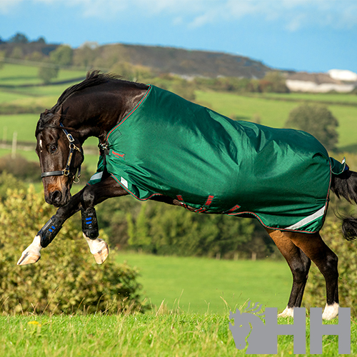 Cavalo com manta verde a saltar em campo