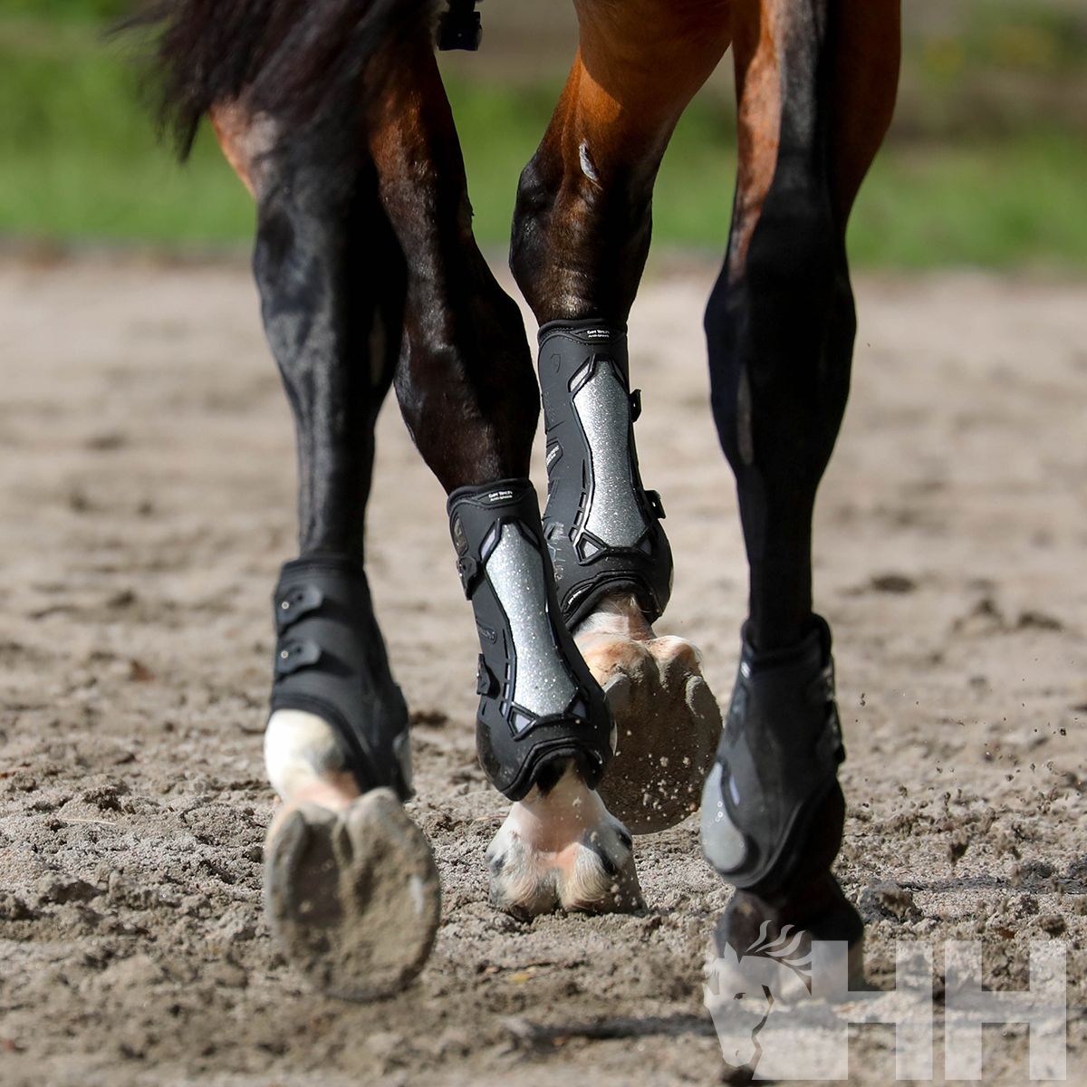 Pernas traseiras de cavalo com protetores pretos e cinza em areia