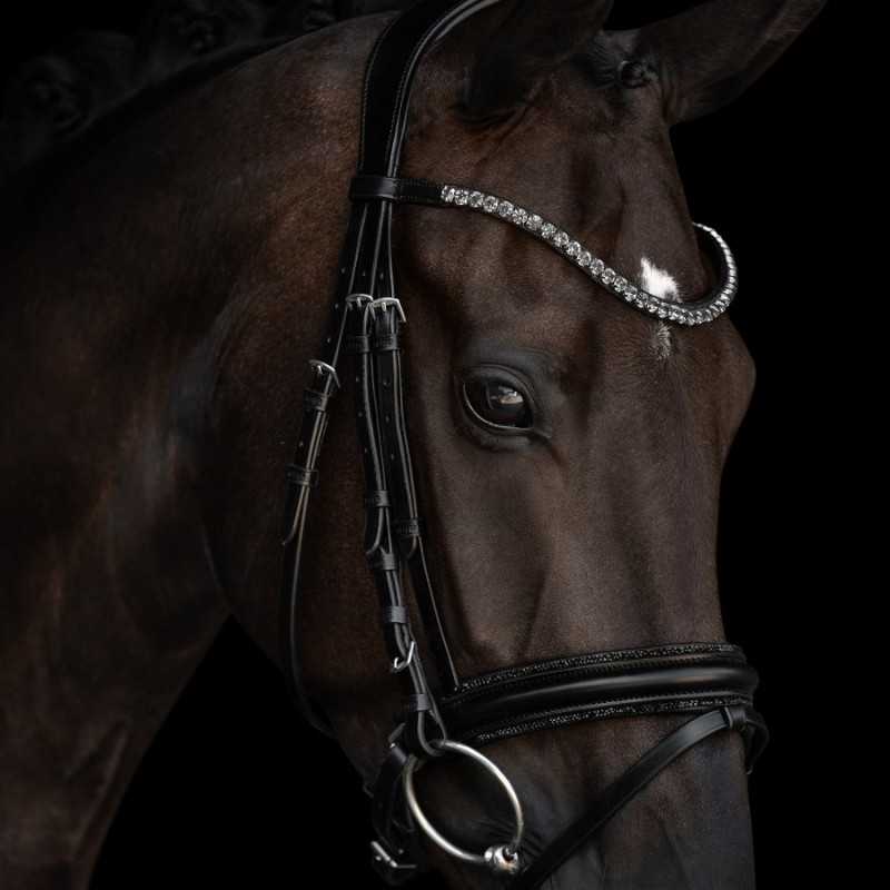 Cavalo castanho escuro com cabeçada preta e pedras decorativas