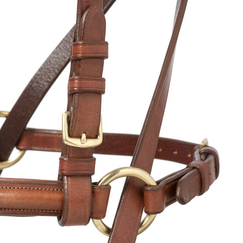 Cabresto de couro castanho com fivelas douradas