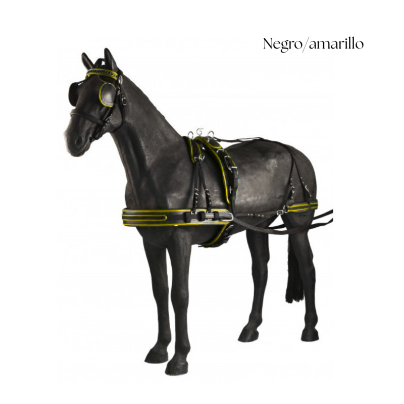 Cavalo preto com arreios negro e amarelo