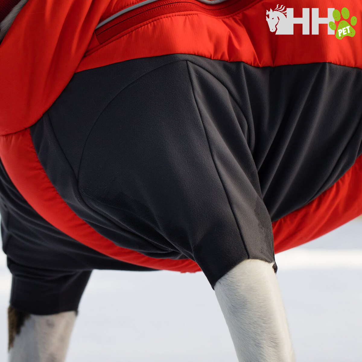Roupa para cão preta e vermelha com zíper e logótipo HH PET