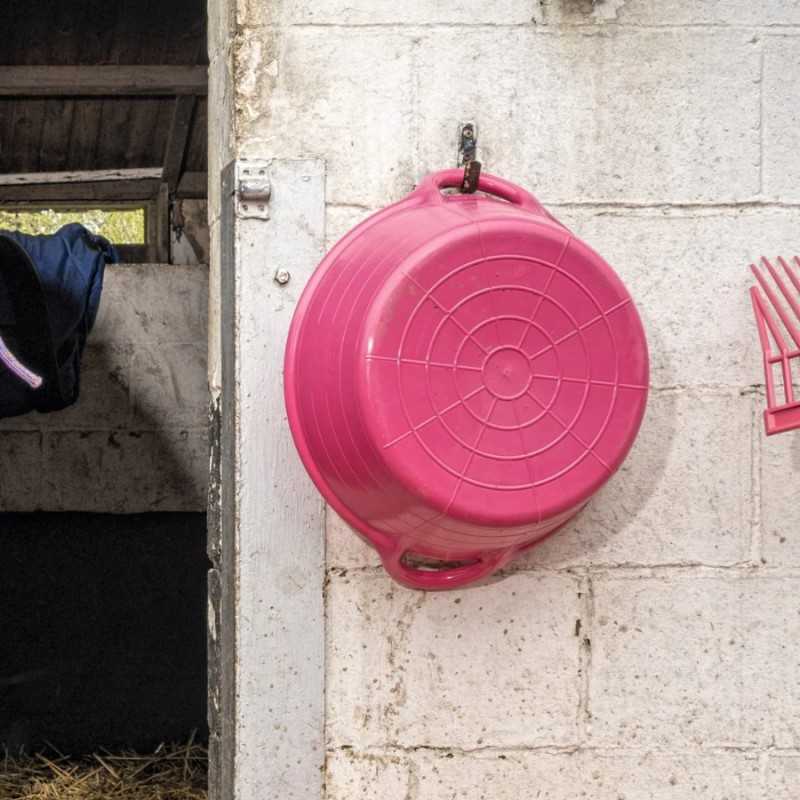 Bacia de plástico rosa pendurada numa parede branca