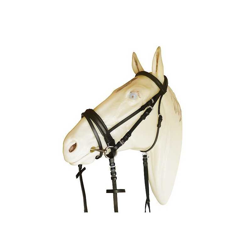 Cabeça de cavalo branco com bridão preto e rédeas