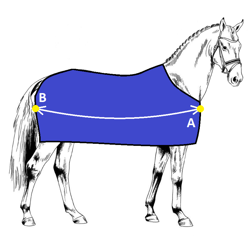 Cavalo com cobertor azul e pontos de medição A e B.