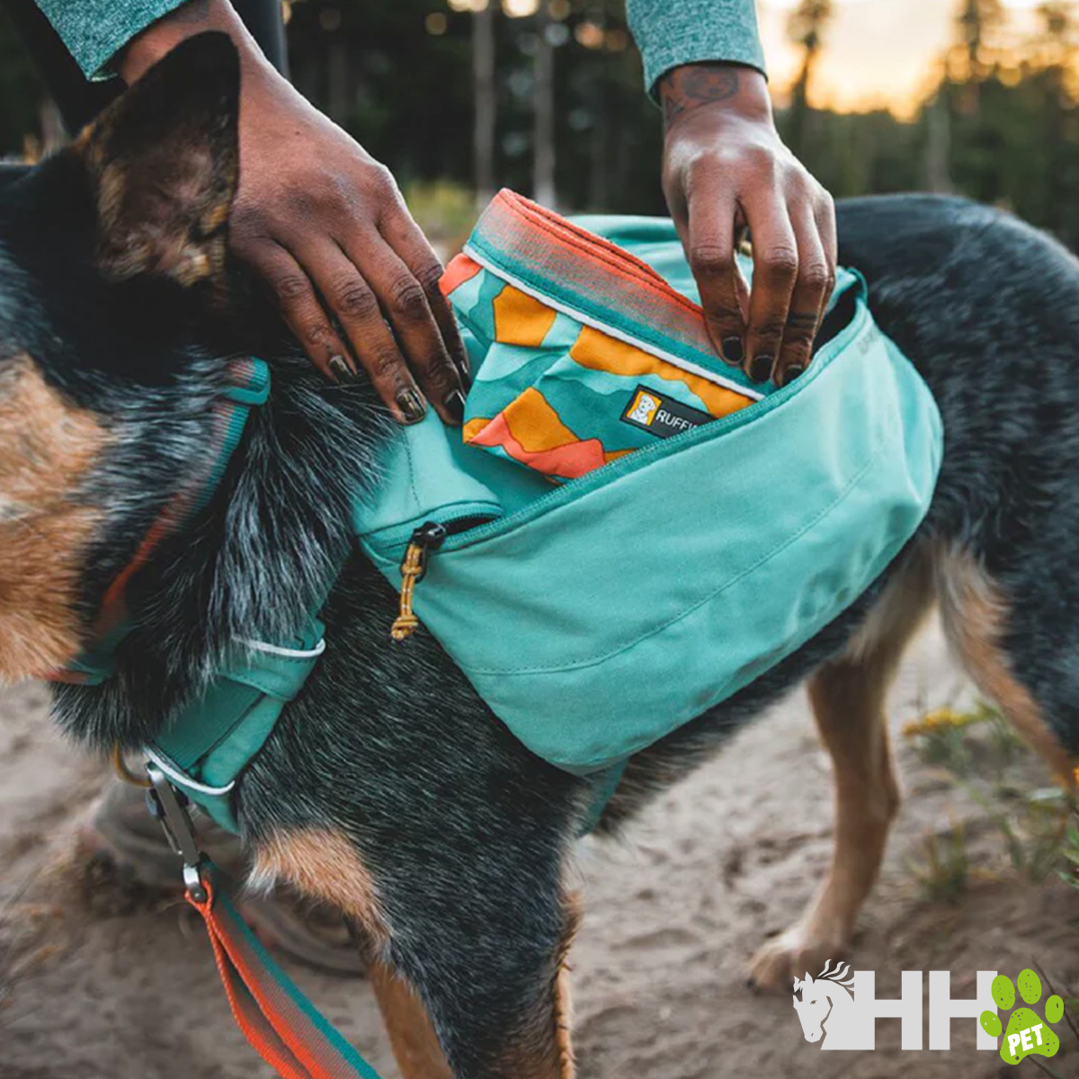 Mochila azul turquesa para cão com bolsa colorida geométrica nas costas do cão
