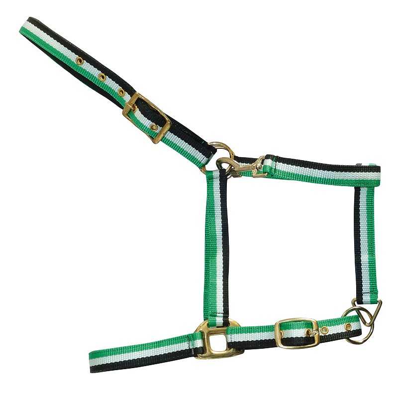 Cabresto de tecido com fivelas douradas e cores verde, branco e preto