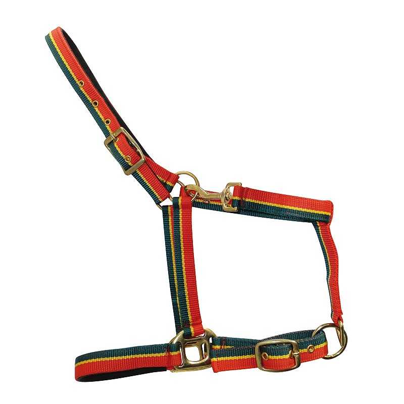 Arreio para cavalo tricolor em tecido com fivelas douradas