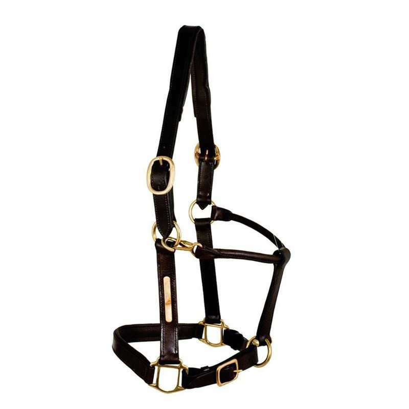 Cabresto de cavalo preto em couro com fivelas douradas