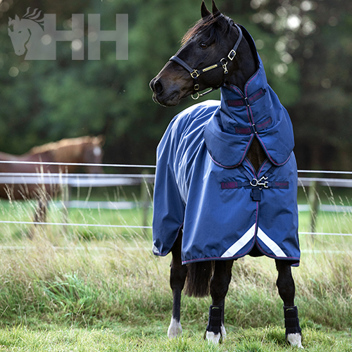 Cavalo com manta azul e proteção para patas em pasto