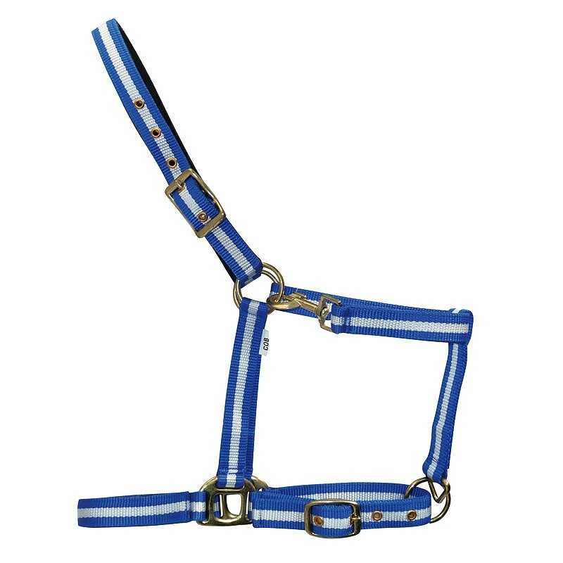 Peitoral azul com riscas brancas e fivelas douradas