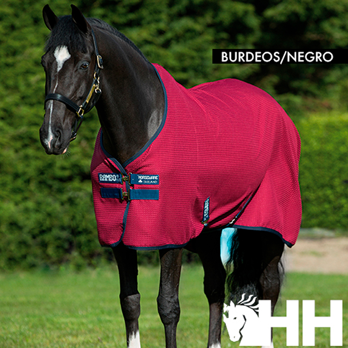 Cavalo com manta de malha burdeos e preto