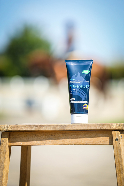 Tubo azul de gel Freebute em banco de madeira ao ar livre com cavalo desfocado no fundo