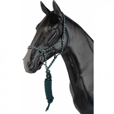 Cabeça de cavalo com cabresto e guia azul escuro e branco