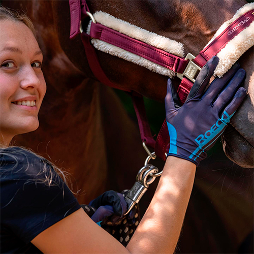 Pessoa a colocar luvas Roeckl em cabeça de cavalo castanho com cabeçada bordeaux