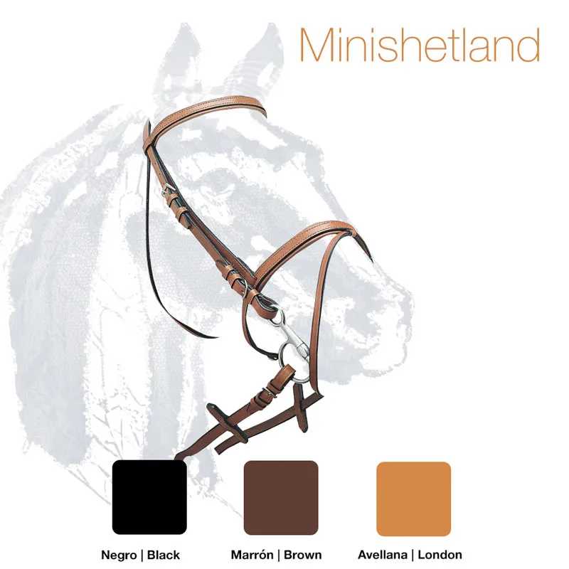 Cabeça de cavalo com arreio em três tons de marrom e texto 'Minishetland'