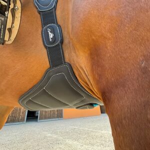 Produto de equitação preto com costuras brancas em cavalo castanho ao ar livre