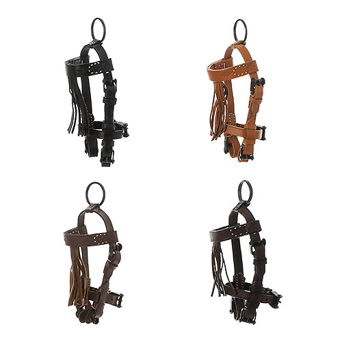 Quatro cabrestos de couro para cavalo em diferentes cores com franjas